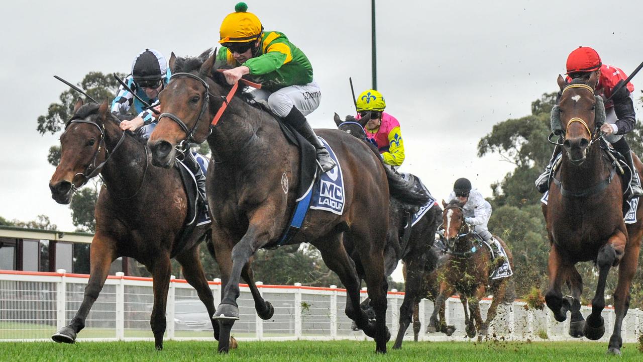 The Matt Cumani-trained Regal Valour is an excellent chance to return to winning ways in a 2216m race at Donald on Tuesday. Picture :  Racing Photos via Getty Images.