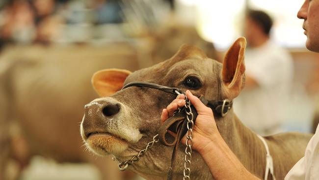 Jersey Australia general manager Glen Barrett has welcomed changes to the national genetics indices.