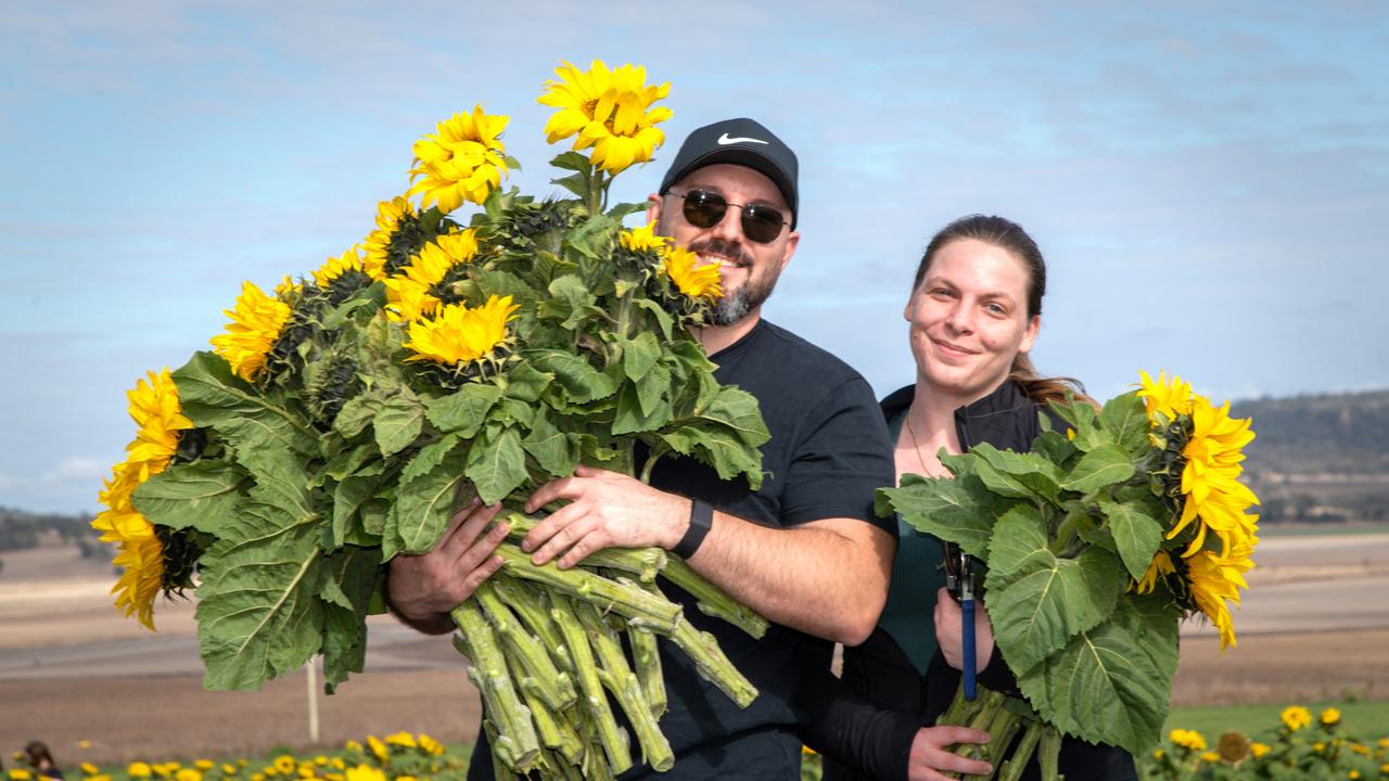 Dimitrije Tokovic and Disa Johansen.Open day at Warraba Sunflowers, Cambooya. Saturday June 29th, 2024