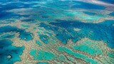 UN only picking on Australia's reefs because 'they don't like our climate policy'