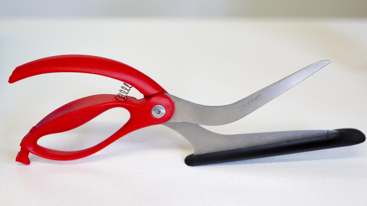 Scizza All Purpose Scissors from DreamFarm