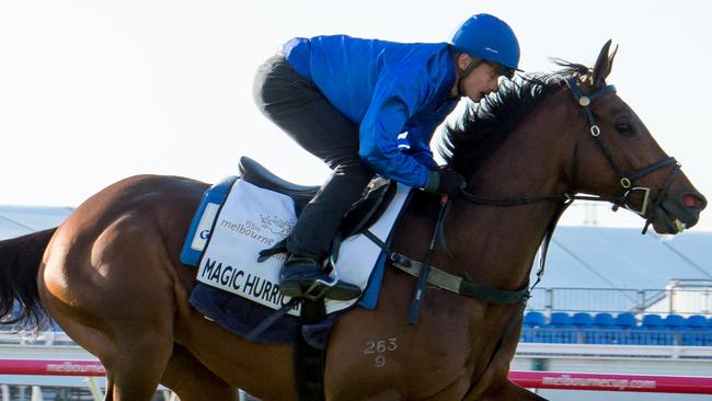 Magic Hurricane has ‘trimmed up nicely’, according to trainer John O’Shea. Picture: Jay Town