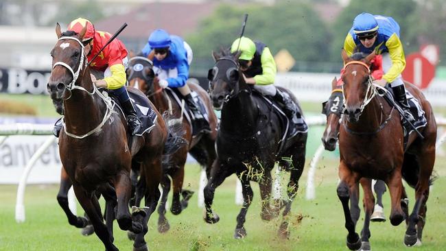 ROSEHILL RACES