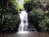 Marathon rescue for injured hiker in hinterland