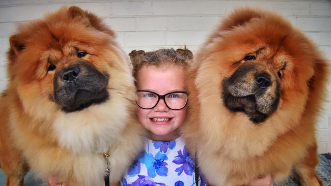 Emily Perkins 11 with Starry and Snorta, 5-month-old chow chow puppies. Picture: Tony Gough