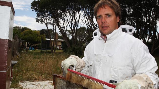 Save the Bees Australia founder Simon Mulvany.