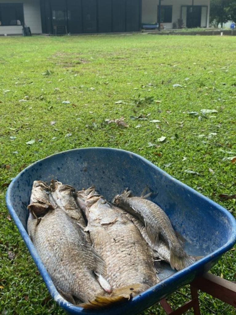 Copperlode Fishing and Kayak owner Kim Andersen has called for an independent review after a decision to remove a spillway net at the dam wall caused, what he believes, was a mass kill event for his barramundi crop in the Redlynch Valley. Picture: Kim Andersen/ Facebook.