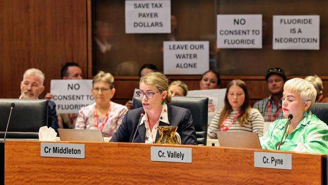 Cairns councillor Anna Middleton has criticised a report on fluoridating the town’s water supply. Picture: Brendan Radke