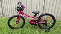 I used his savings to buy back our daughter's bike
