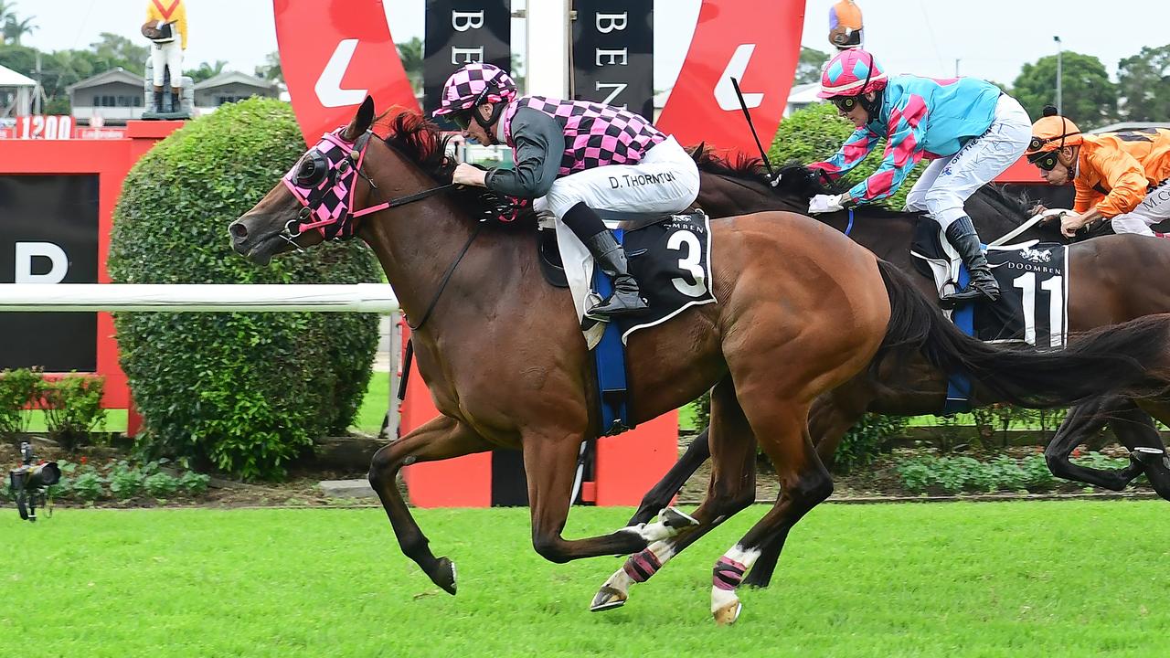 Supplied Editorial Damien Thornton rides Ekaterina to victory for trainer Rob Heathcote
 at Eagle Farm, picture credit: Natasha Wood, Trackside Photography