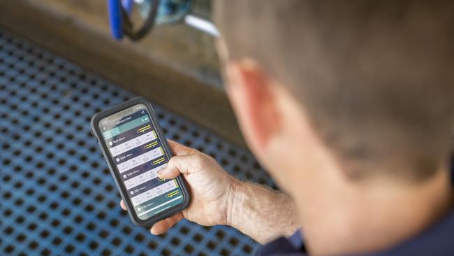 James can access data about which cows are in heat on his phone.