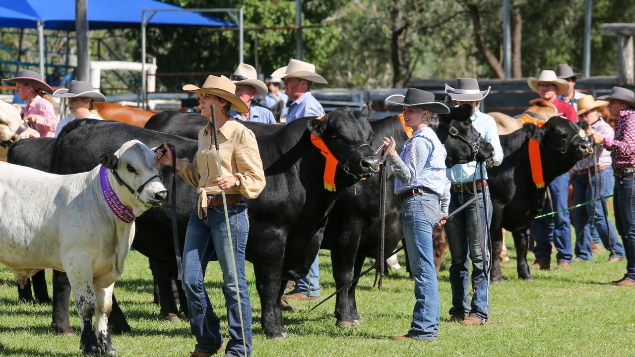 Livestock events are a crowd favourite at the Proston Agricultural Show . Picture: Dominic Elsome