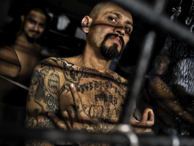 A leader of the Mara Salvatrucha gang in custody in 2014. Picture: Getty Images