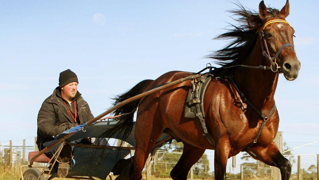 Trainer Clayton Tonkin driving trotting horse 