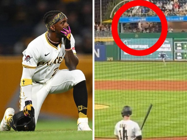 Players react after the fan fell from the stands. Photos: AFP/X