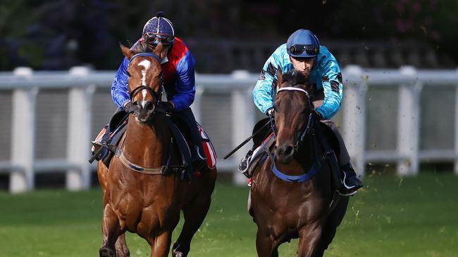 Zaaki gallops with stablemate Mo’unga at The Valley ahead of this Saturday’s Cox Plate. Picture: Michael Klein