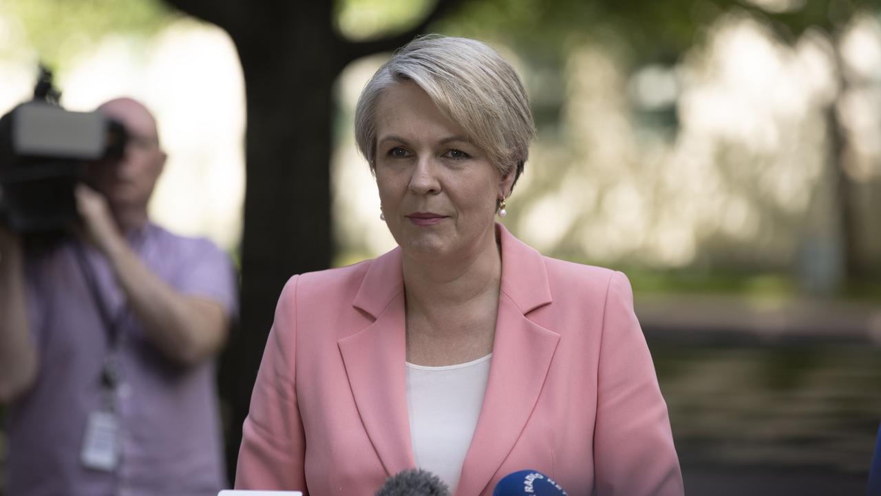 Environment and Water Minister Tanya Plibersek said the iconic crystal blue water was ‘under threat’. Picture: NCA NewsWire / Gary Ramage.