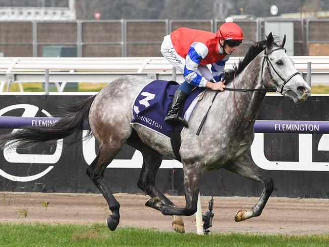 Berkshire Breeze (IRE) ridden by Ethan Brown wins the Banjo Paterson Series Final at Flemington Racecourse on July 06, 2024 in Flemington, Australia. (Photo by Brett Holburt/Racing Photos via Getty Images)