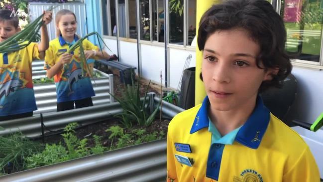 Cairns school's war on waste