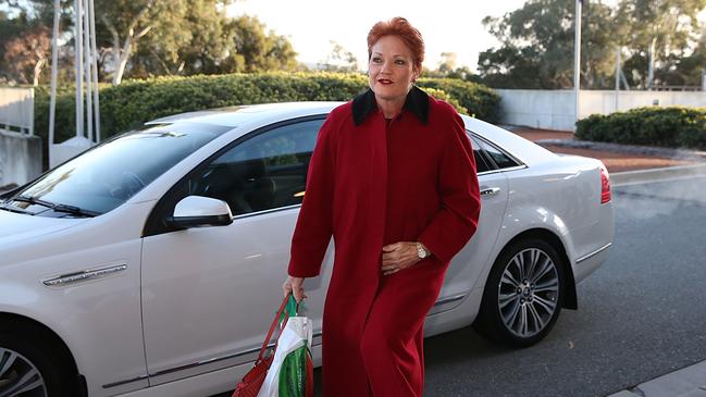 Senator Hanson accused Labor of lying. Picture: Kym Smith