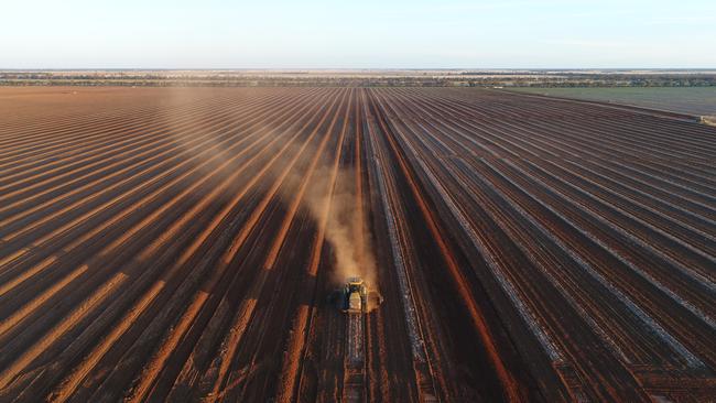 Farm buyup: Mounding of irrigation bays where almond trees will be planted on goFarm's property at Maffra, near Balranald.