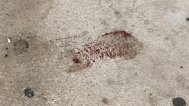 A bloodied footprint was at the scene. Picture: Katrina Muhsin/10 NEWS FIRST