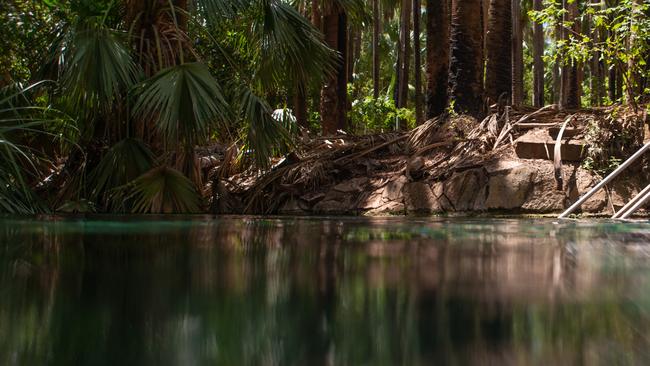 A man has drowned while swimming in thermal pools in Mataranka overnight