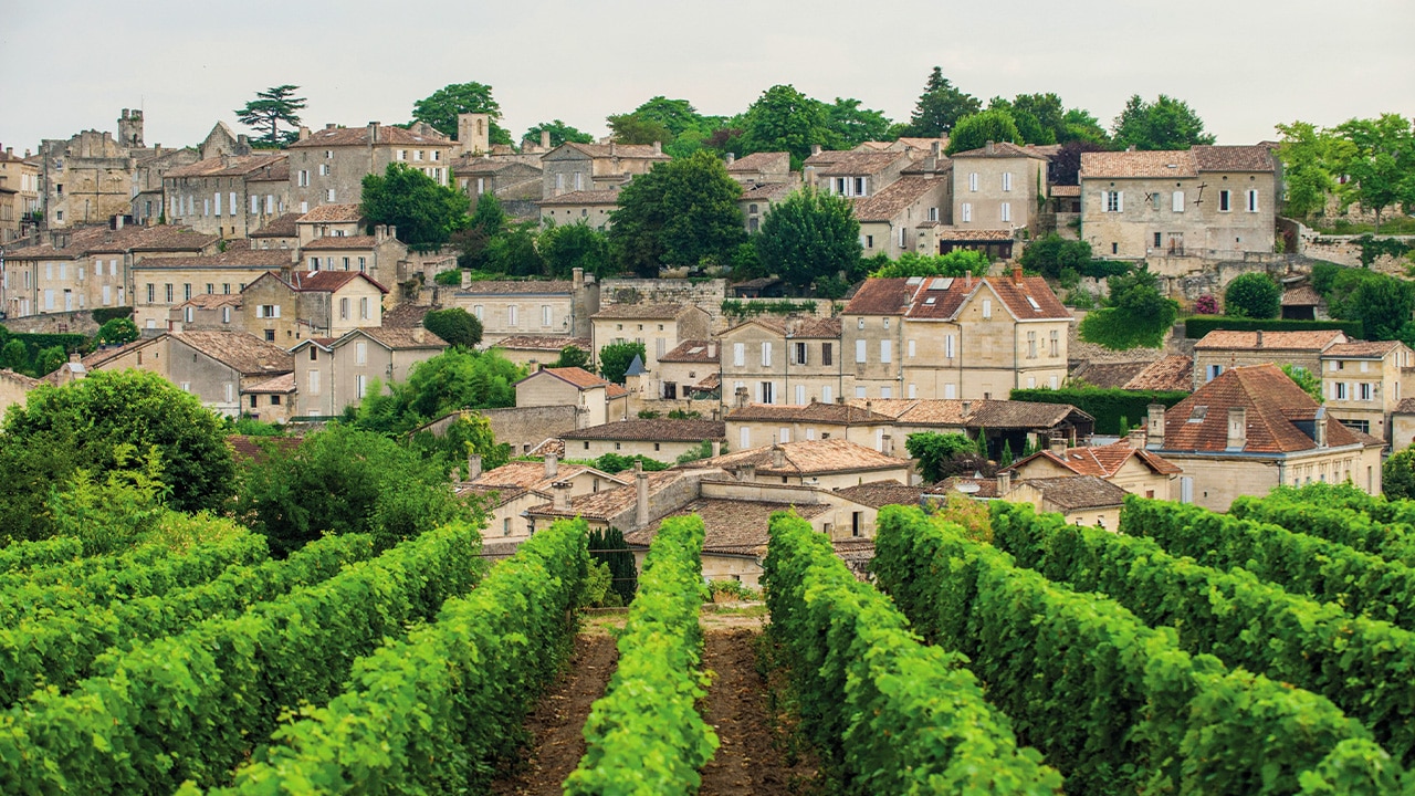 <h2>New Bordeaux cruises set sail</h2><p>If, as they say, travel is all about the journey, then make it a beautiful route. There are not many destinations more desirable than a river cruise through France&rsquo;s famous wine regions. So, cheers to <a href="http://avalonwaterways.com.au" target="_blank" rel="noopener">Avalon Waterways</a>, who in March 2025, begin cruises on the Garonne and Dordogne rivers. They are launching a seven-night Bonjour Bordeaux: Chateaux, Wineries and Charming Villages cruise, which starts and ends in Bordeaux, going through Cadillac-sur-Garonne, Cussac Fort M&eacute;doc, Blaye, Bourg and Libourne. From $6,529 p/p, the cruise is currently on offer for $4,629 and can be bolted-on to other journeys to make a longer itinerary.&nbsp;</p>