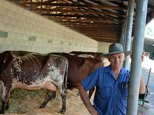 GOOD BLOKE: Chief Gympie Show dairy steward Ray Zerner missed out on the Power 30 - but should he have? Picture: Renee Albrecht