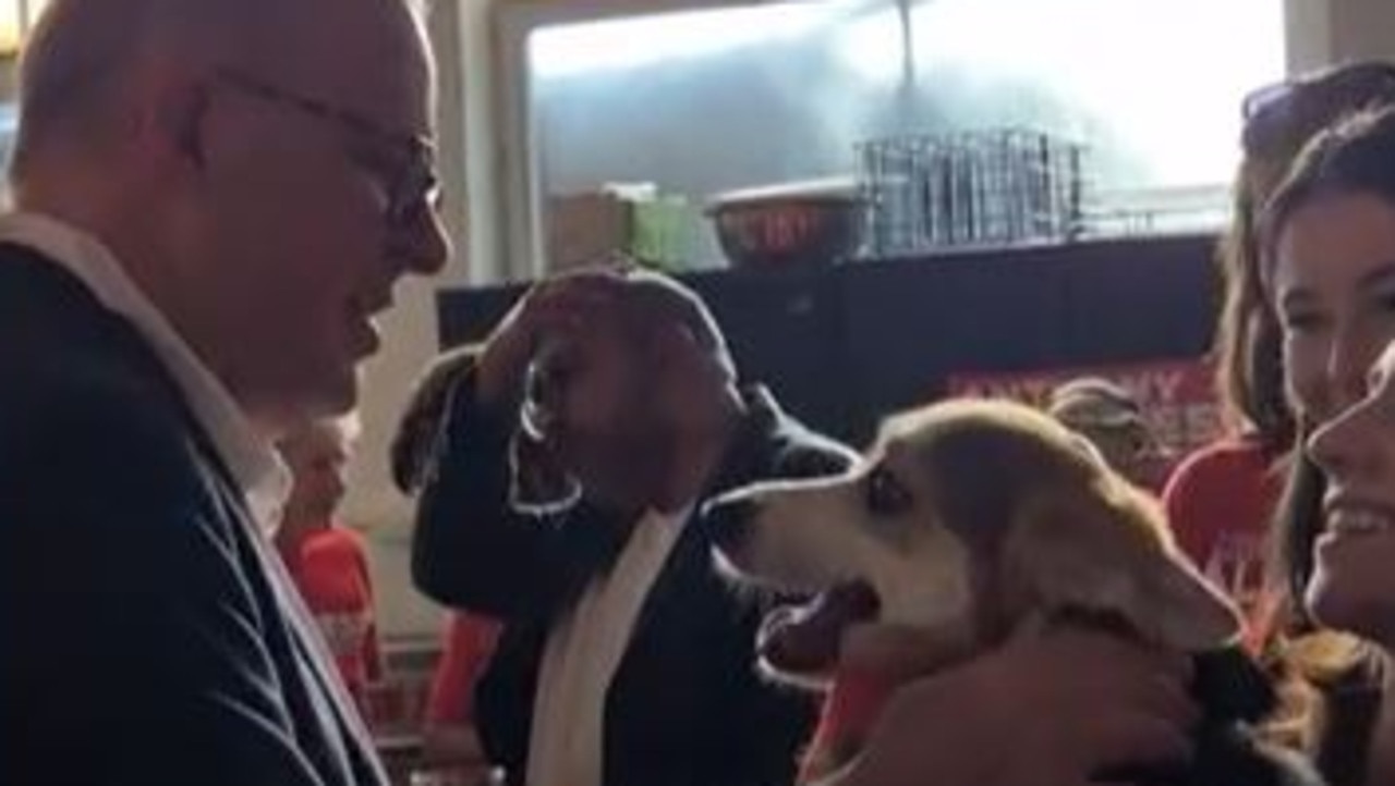 WATCH: ‘Don’t bit the PM! … they’ll shoot you’