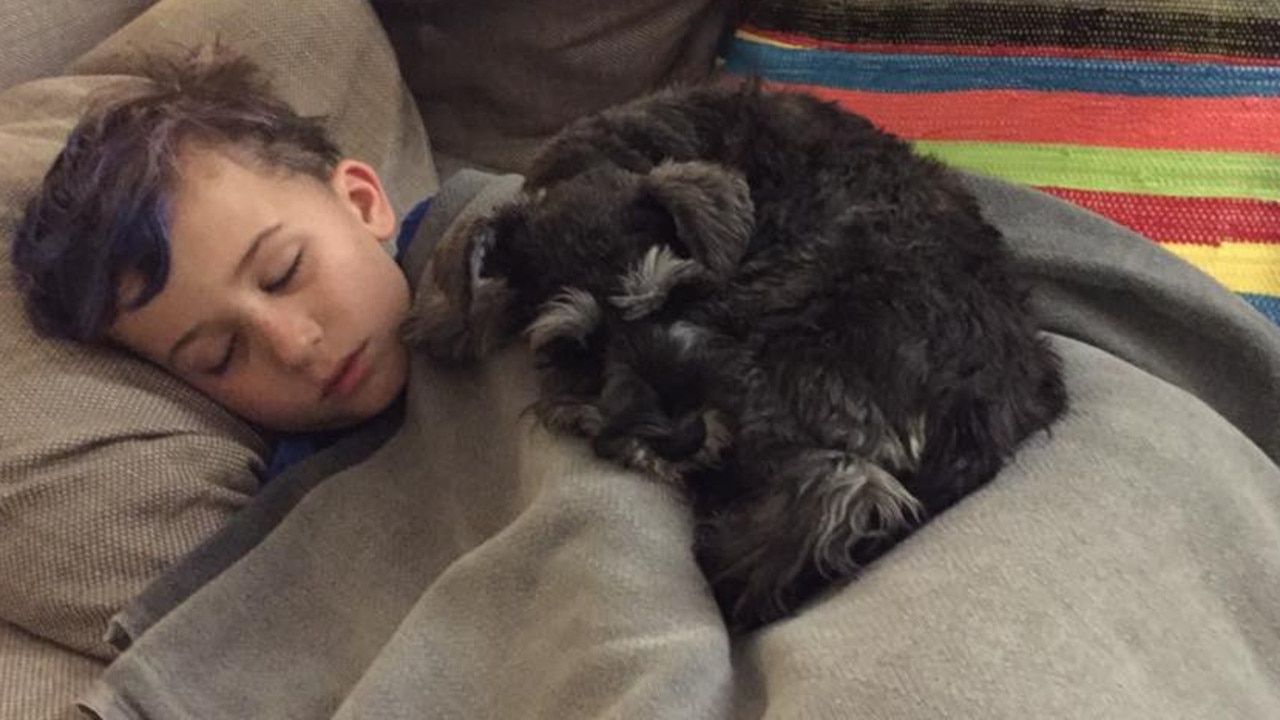 Finley with his schnauzer, April, his ninth birthday present. Picture: Supplied