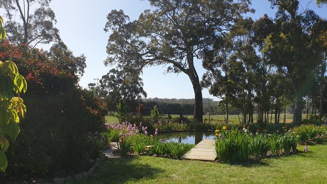 The peaceful Drouhin garden at Littlehampton in the Adelaide Hills.