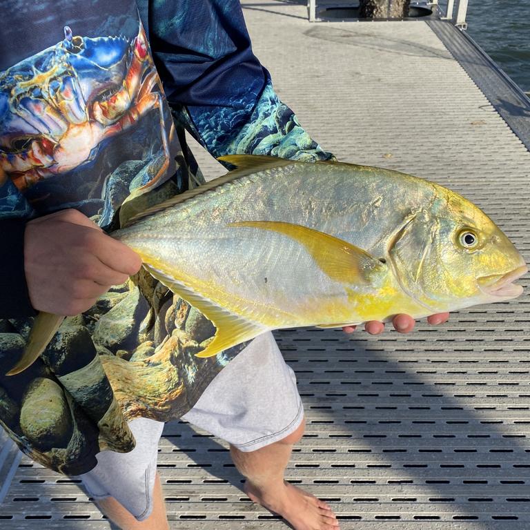 Day 1 of the Boyne Tannum Hookup saw some nice fish caught and weighed in as the competition got underway. Picture: Nilsson Jones