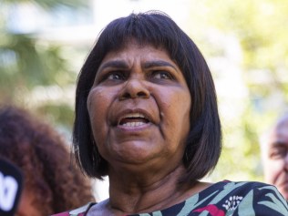 Indigenous leaders blast Greens, activists for &#8216;using&#8217; Aboriginal Aussies