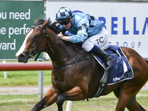 Blitzburg winning on debut at Newcastle. Picture: Bradley Photos