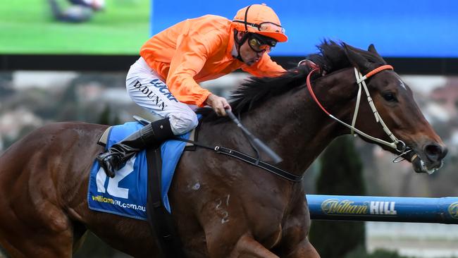 Firsthand will be a big improver at Scone on Saturday.