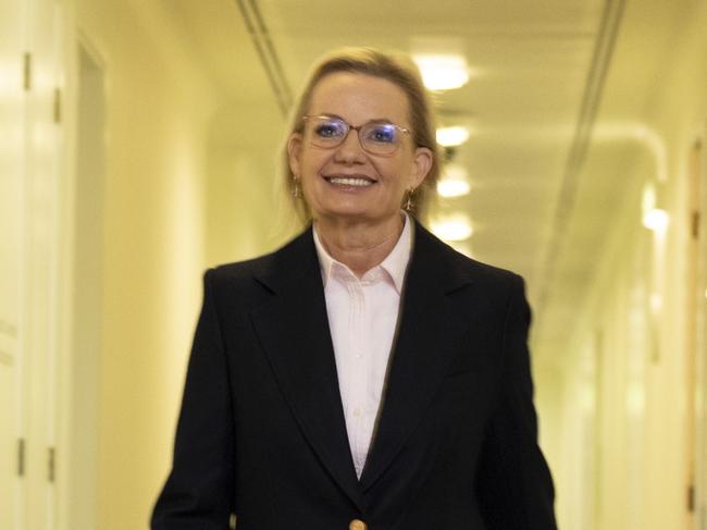 CANBERRA, AUSTRALIA, NewsWire Photos. MAY 13, 2025: Parliament House in Canberra.  The federal parliamentary Liberal Party will meet to elect a Leader of the Opposition and Deputy Leader of the Opposition,  Sussan Ley  arrives at the meeting. Picture: NewsWire / David Beach
