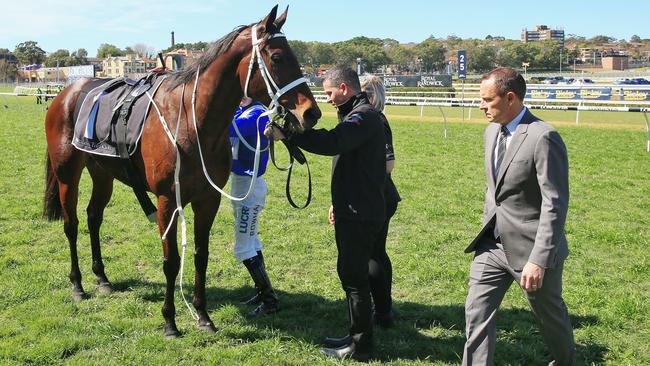 Trainer Chris Waller checks his famous lady. Pictures: Getty Images