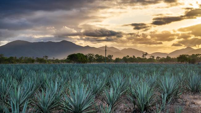 “We’re doing a lot in terms of protection or our own soil and land management”.