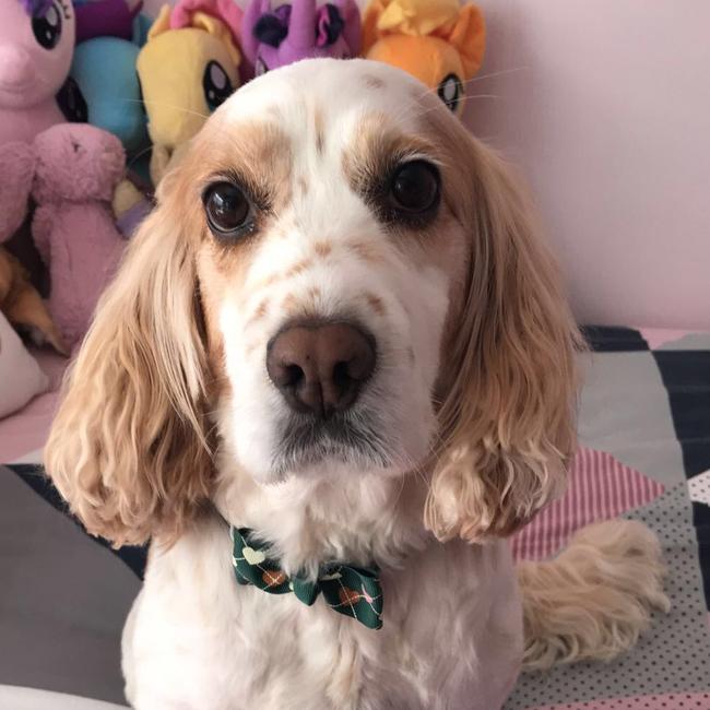 Pollie, of Erskine Park, sitting in her best friend’s room. Picture: Kayla Ellison