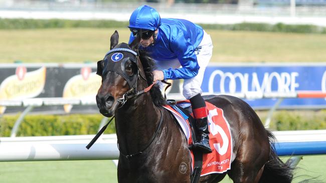 Farolitos looks one of the best bets of the day at Rosehill. Picture: Simon Bullard