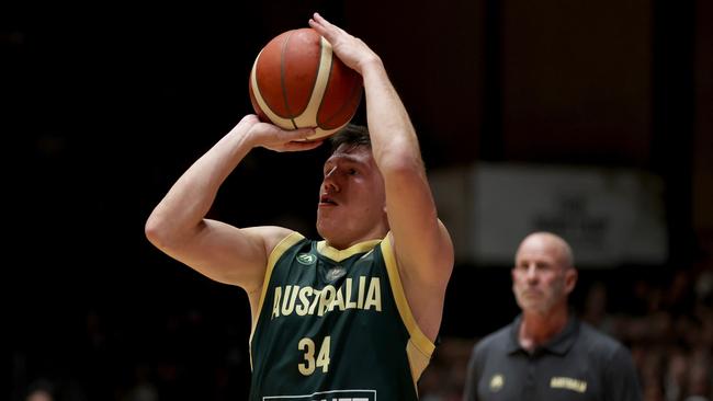 Goorjian watches on as Dejan Vasiljevic shioots from the arc. Picture: Getty Images