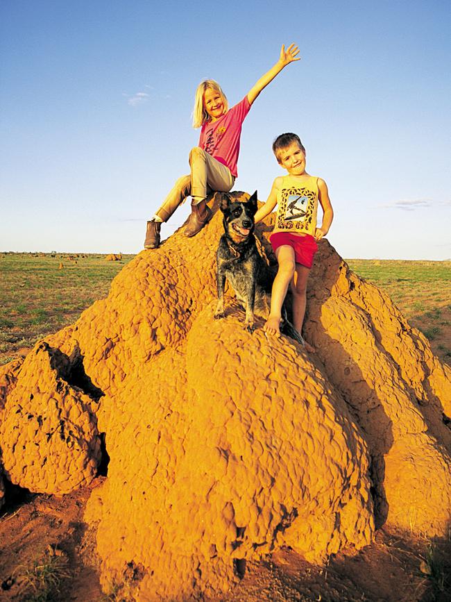 A Portrait of Australia: The best stories from 30 years of Australian Geographic. The people of the Tanami Sophie and Callum Parbury perch on a termite mound on 4200sq.km Tanami Downs station. Photo by Bill Bachman.