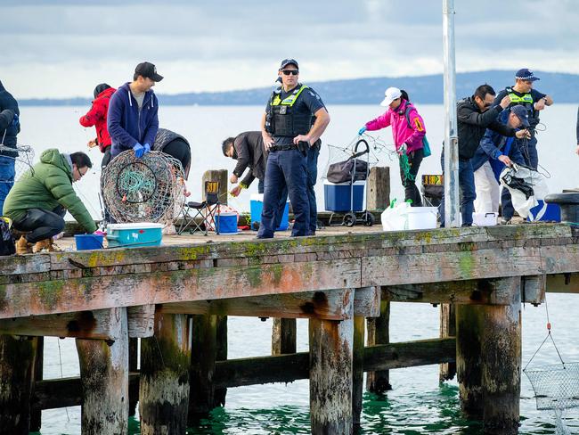 After previously reopening the Rye Pier, police return and being enforcing social-distancing before eventually closing the Pier entirely. Police and the local council shut down Rye Pier after a weekend of large crowds not observing social distancing rules. The migration of spider crabs saw locals and holiday-makers out to observe the crabs. Picture: Mark Stewart