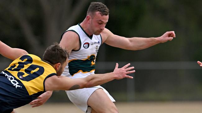 Matthew Perry in action for Northcote Park. Picture: Andy Brownbill