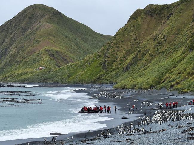 ESCAPE - Travel - Ponant cruise line expedition to the sub-AntarcticIslands. Pic Nathalie Michel/Margot Sib.