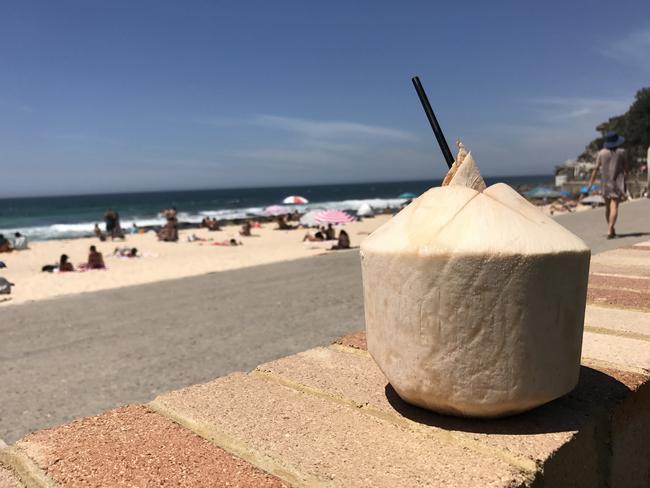 Coconut water as nature intended at The Bogey Hole Cafe. Picture: Jenifer Jagielski