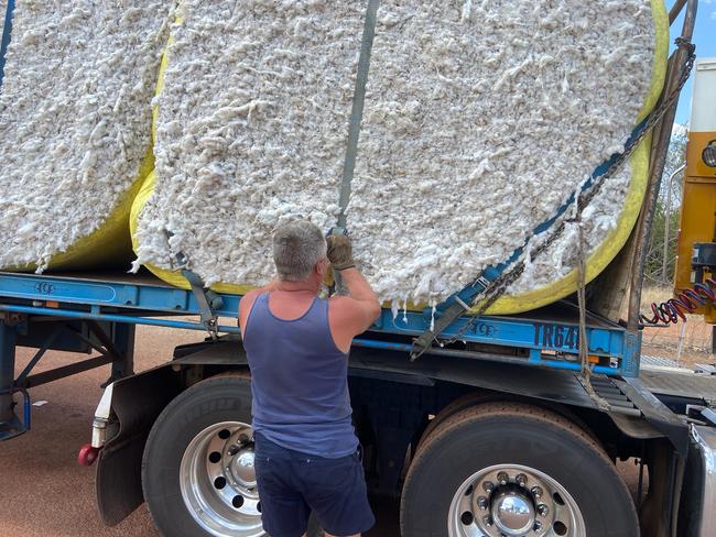 Trucky Dave White inspects his cotton load outside of Katherine in October.