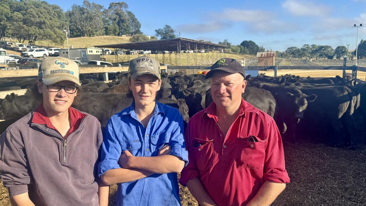 Casterton sale draws new buyers