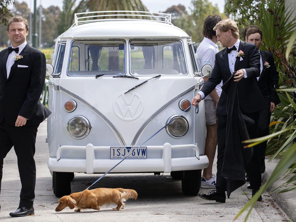 Saville arrives with the couple’s dog, Tofu. Picture: Sarah Matray